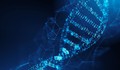 Cơ hội ngừa ung thư từ mô hình AI giải mã DNA người