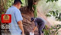 Phát hiện trang trại nuôi lợn xả nước thải ra suối