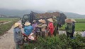 Bão số 4 suy yếu, miền Trung gia tăng nắng nóng