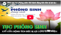 Phía sau tục phóng sinh: Khi hành động tích đức bị lợi dụng làm 'vỏ bọc' cho vi phạm
