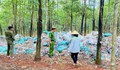 Chủ cơ sở nhựa đem gần 8,5 tấn chất thải đổ vào rừng cao su