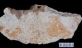 Hóa thạch Denisovan hé lộ cuộc sống bí ẩn của họ hàng loài người