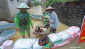 Làng quê ngoại thành Hà Nội ngập sâu, người dân bì bõm chuyển đồ