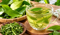 Tác dụng của nước lá chanh với sức khỏe