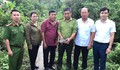 Người phụ nữ Hải Phòng phát hiện rùa núi vàng quý hiếm đi lạc vào vườn nhà