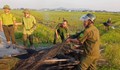Phát hiện 'trận địa' bẫy chim giữa cánh đồng, thu 5.000m lưới
