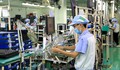 Doanh nghiệp được hỗ trợ 50% lãi suất vay để đổi mới công nghệ
