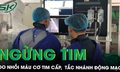 Ngừng tim do nhồi m&#225;u cơ tim cấp, tắc ho&#224;n to&#224;n 1 nh&#225;nh động mạch v&#224;nh