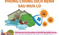 Phòng chống dịch bệnh sau mưa lũ