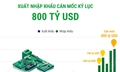 Xuất nhập khẩu cán mốc kỷ lục 800 tỷ USD