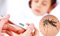 L&#226;m Đồng ghi nhận gần 7.000 ca sốt xuất huyết Dengue, 3 người tử vong