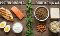 Protein động vật v&#224; protein thực vật - loại n&#224;o tốt hơn?