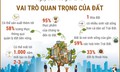 Ngày Đất Thế giới 5/12: Vai trò quan trọng của đất