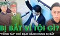 'Tổng tài' giơ tay chỉ đạo hành hung nhân viên quán cà phê bị bắt vì tội gì?