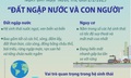 Ngày Đất ngập nước thế giới 2/2/2025: 'Đất ngập nước và Con người'