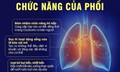 18 lợi &#237;ch của việc đi bộ 30 ph&#250;t mỗi ng&#224;y