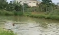 Rủ nhau ra ao chơi, 2 cháu bé tử vong thương tâm