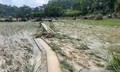 Mưa lớn gây thiệt hại nghiêm trọng ở Bắc Kạn, Hà Giang, Tuyên Quang