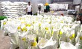 Công an Đồng Nai phát hiện doanh nghiệp sản xuất phân bón dấu hiệu giả quy mô lớn