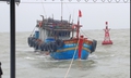 Tàu cá gặp nạn khi di chuyển tránh thời tiết xấu