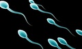Bê bối người hiến tinh trùng mang gene gây ung thư làm cha của 52 trẻ em tại Bỉ