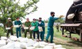 Thu gom hàng trăm viên nén màu trắng nghi là phôi xà phòng bị vứt bỏ trái phép