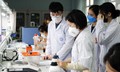 10 đại học Việt Nam trong Bảng xếp hạng đại học thế giới
