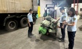 Hơn 12 tấn chân gà 'bốc mùi' không rõ nguồn gốc được phát hiện trong kho lạnh