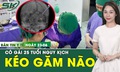 Bản tin Y tế 23/6: C&#244; g&#225;i 25 tuổi bị k&#233;o nhọn đ&#226;m xuy&#234;n n&#227;o 