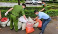 Phát hiện gần 1 tấn nội tạng động vật trong tình trạng phân hủy trên đường vận chuyển về Hà Nội tiêu thụ