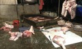Chặn thực phẩm bẩn, kiểm soát tận khâu giết mổ