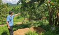 Lợn chết hàng loạt, người dân đào sẵn hố chờ tiêu huỷ thay vì bán tháo