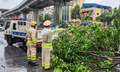 Hà Nội bất ngờ mưa lớn kèm gió giật mạnh, Công an khuyến cáo khẩn