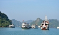 Tin mới về bão WIPHA: Quảng Ninh tạm dừng cấp phép rời cảng đối với tàu khách
