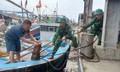 Nghệ An căng mình ứng phó bão số 3, sẵn sàng kích hoạt phương án sơ tán dân