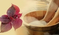 4 c&#225;ch sử dụng nước l&#225; t&#237;a t&#244; tốt nhất cho sức khỏe