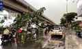 Vì sao dông lốc đôi khi nguy hiểm hơn cả bão?