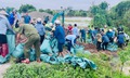Bác tin vỡ đê ở Hưng Yên; cần hiểu đúng về lưu lượng đỉnh lũ tần suất 5000 năm