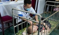 Khám bệnh, phát thuốc miễn phí cho hơn 200 người yếu thế tại Nghệ An
