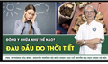 [LIVE] Đau đầu do thời tiết: Đ&#244;ng y chữa thế n&#224;o? 