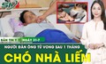 Bản tin Y tế 31/7: Chủ quan khi ch&#243; nh&#224; liếm v&#224;o vết thương, người đ&#224;n &#244;ng tử vong thương t&#226;m