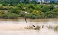 Máy bay không người lái được thiết kế thế nào để cứu được người trong nước lũ?