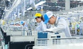 91,1% doanh nghiệp trở lại hoạt động