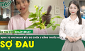 Bản Tin Y Tế 9/7: Uống thuốc nam chữa khối u, người phụ nữ bụng to như mang thai 8 th&#225;ng
