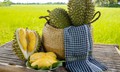 Xây dựng tiêu chuẩn quốc gia cho sầu riêng quả tươi