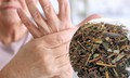 Lo&#224;i c&#226;y mọc hoang nhưng lại rất tốt trong điều trị đau nhức xương khớp