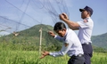 Lợi ích của chim yến và nỗi ám ảnh 'lưới tàng hình'