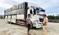 CSGT bắt giữ phương tiện vận chuyển 30 tấn đường không rõ nguồn gốc