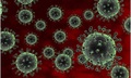 Virus RSV bùng phát nghiêm trọng tại Thái Lan