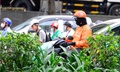 Miền Bắc duy trì nắng nóng, xuất hiện mưa dông vào chiều tối